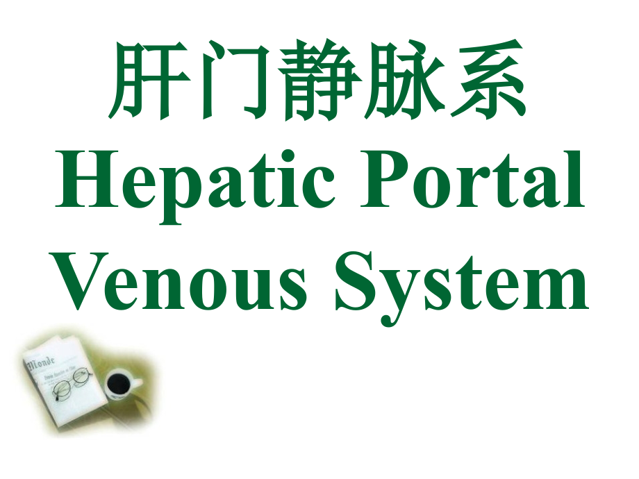 肝门静脉系专题知识宣讲.pptx_第1页