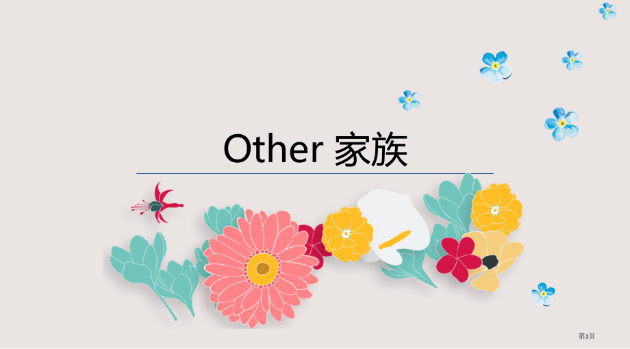 初中other家族辨析.pptx_第1页
