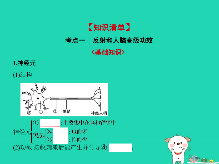高考生物复习专题18人和高等动物的神经调节.pptx_第2页