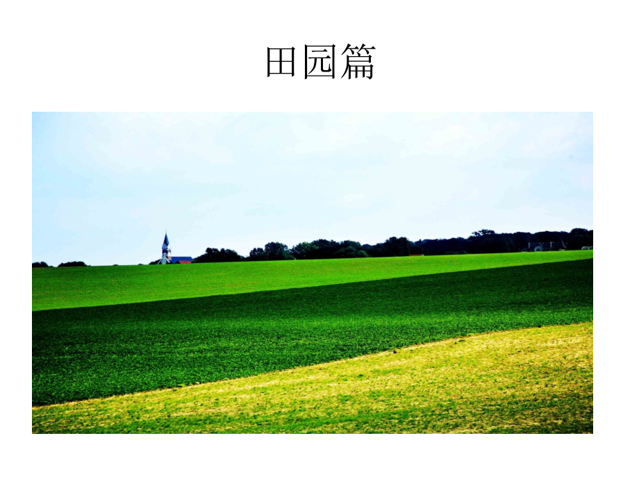 古诗文诵读社团展示.pptx_第2页