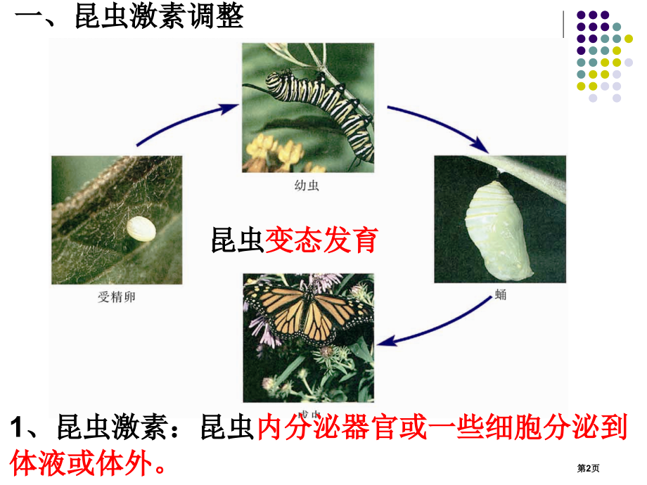 生物：2.3《动物生命活动的调节》第1课时(苏教版必修3).pptx_第2页