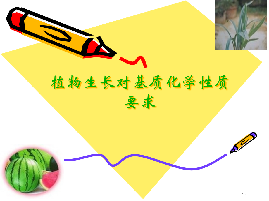 植物生长对基质化学性质的要求.pptx_第1页