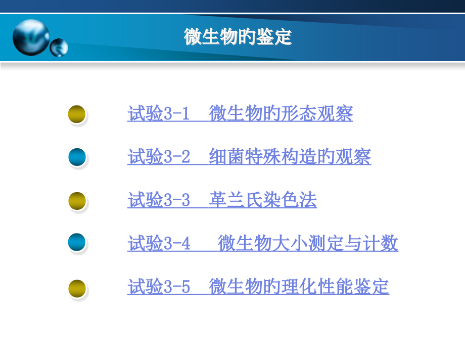 微生物的鉴定.ppt_第2页