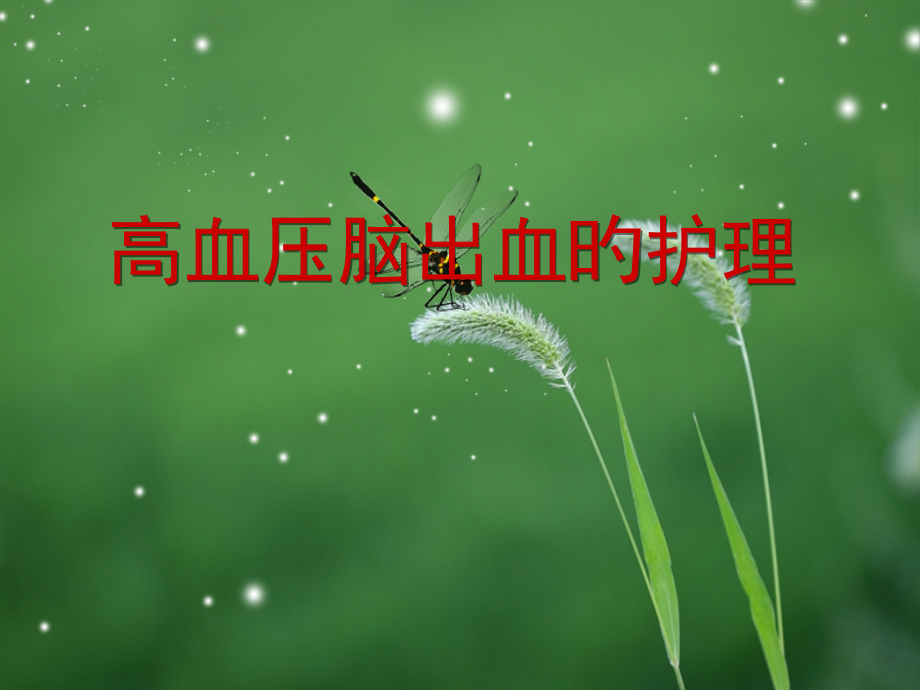 高血压脑出血病人的医疗护理.pptx_第1页