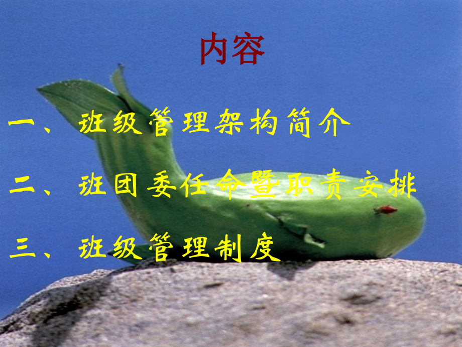 新学期班委班干部任命及职责安排.pptx_第2页