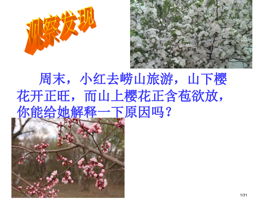 主要自然地理要素之间关系.pptx_第1页