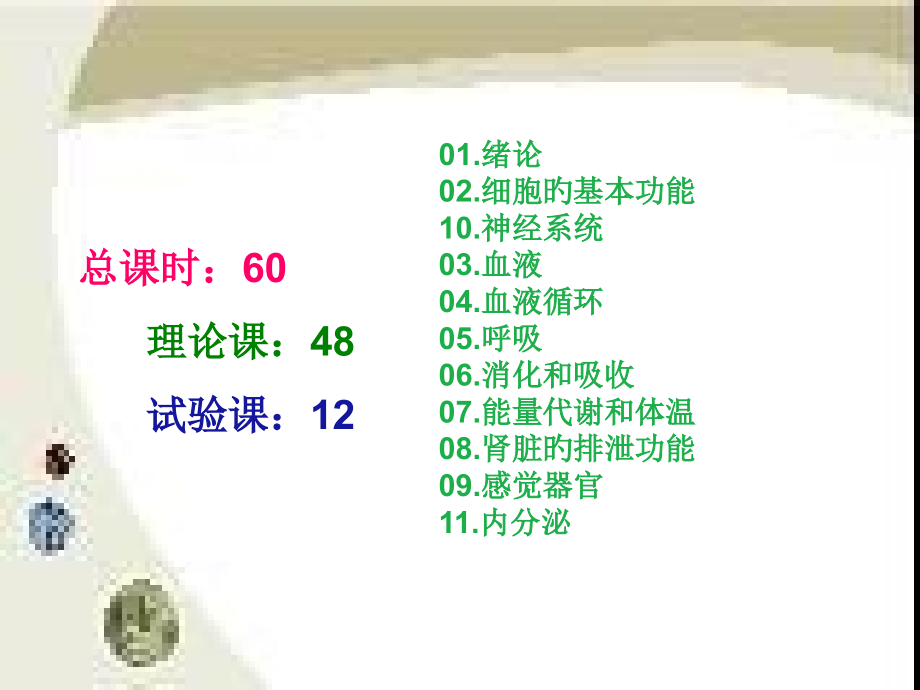 生理学概述专题知识专家讲座.ppt_第2页