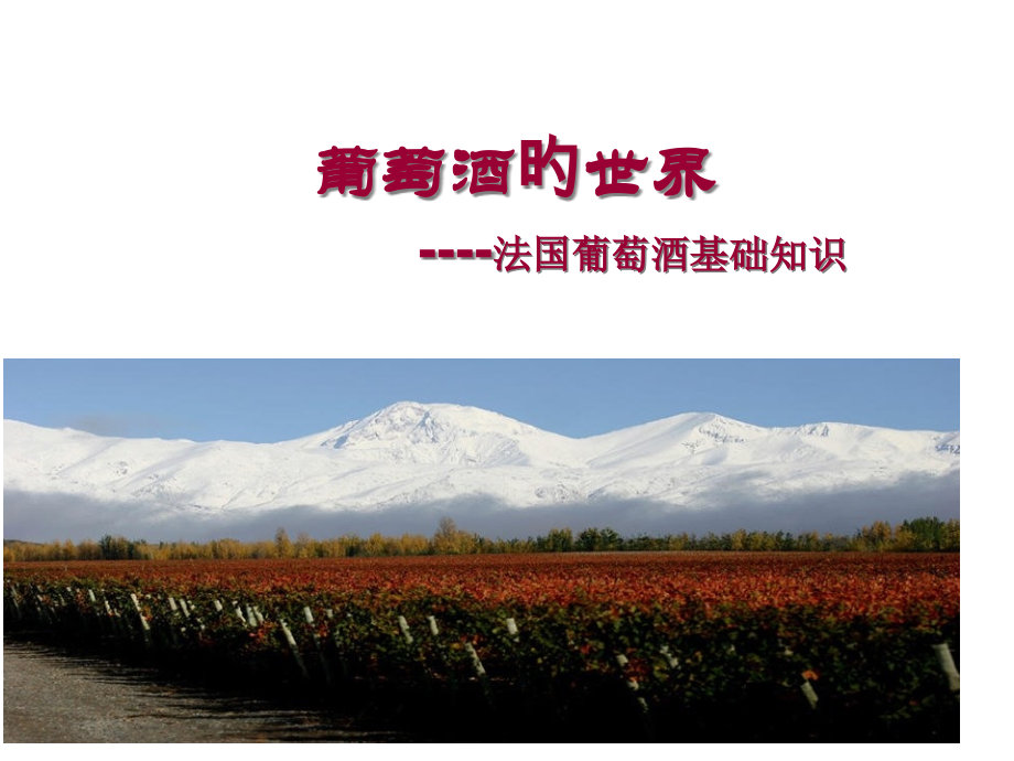 葡萄酒的世界.pptx_第1页