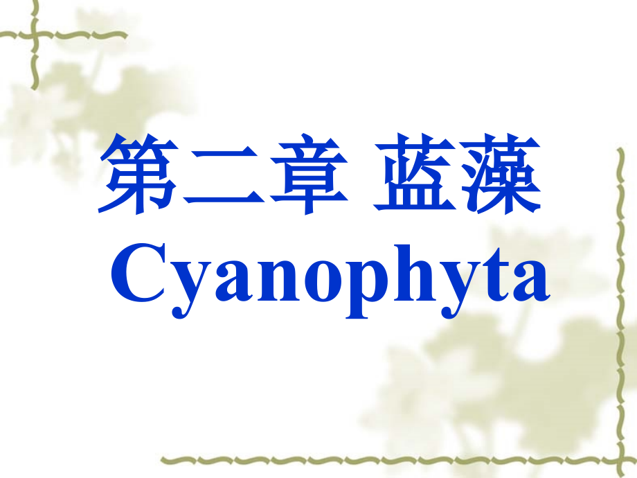 水生生物蓝藻.pptx_第1页