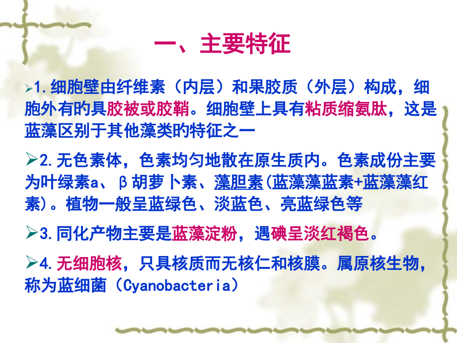 水生生物蓝藻.pptx_第2页
