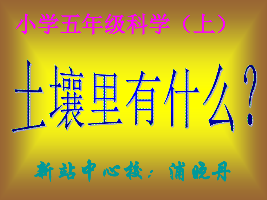 土壤里有什么课件.ppt_第2页