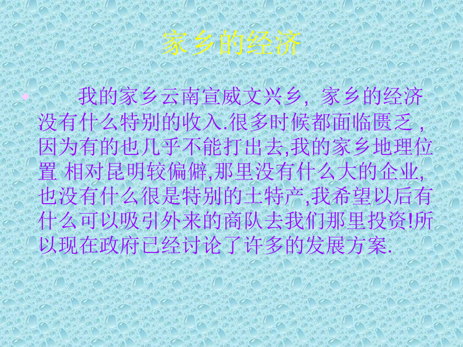 家乡的经济.ppt_第2页