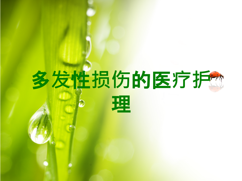 多发性损伤的医疗护理.ppt_第1页