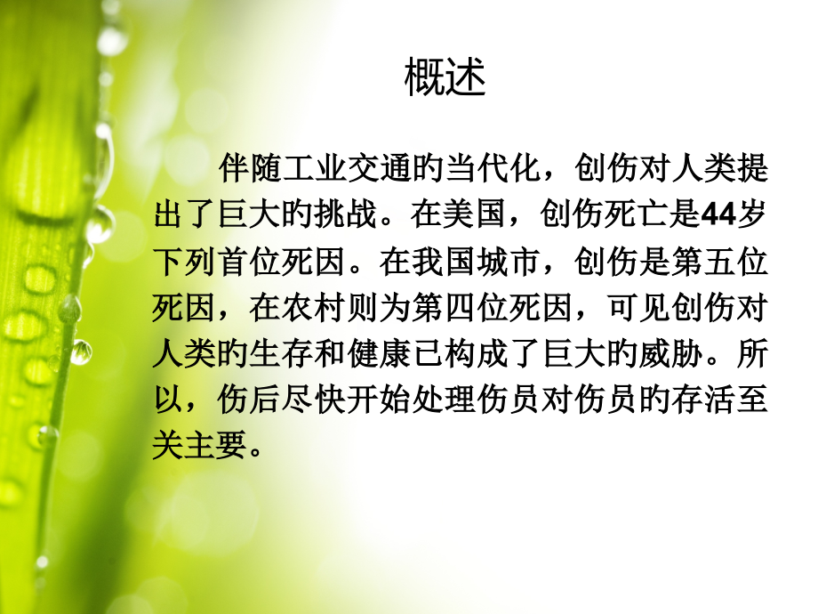 多发性损伤的医疗护理.ppt_第2页