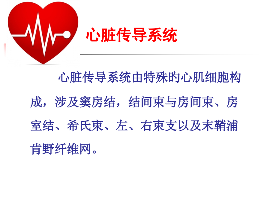 心律失常的讲解.ppt_第2页