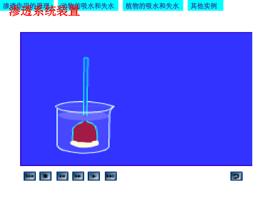 物质跨膜运输的实例优质课凤.pptx_第2页