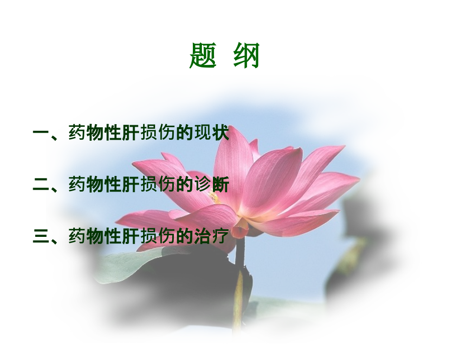风湿免疫病用药肝损害的防治策略.ppt_第2页
