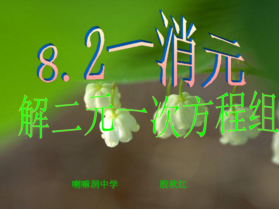 《加减消元法解二元一次方程组》课件.ppt_第1页