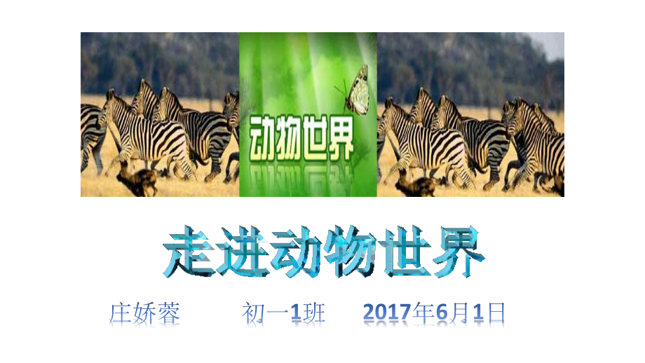 《走近动物世界》.pptx_第1页