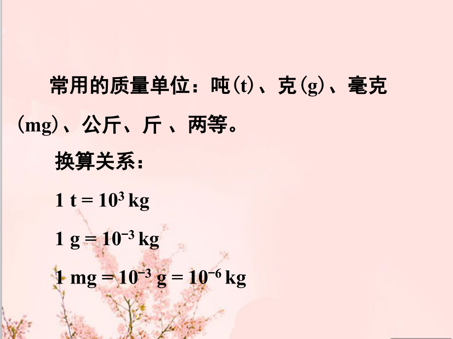 质量的单位.ppt_第2页