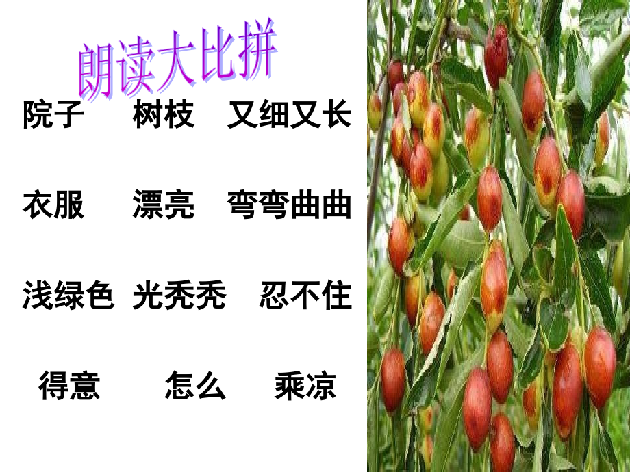 小柳树和小枣树ppt.ppt_第2页
