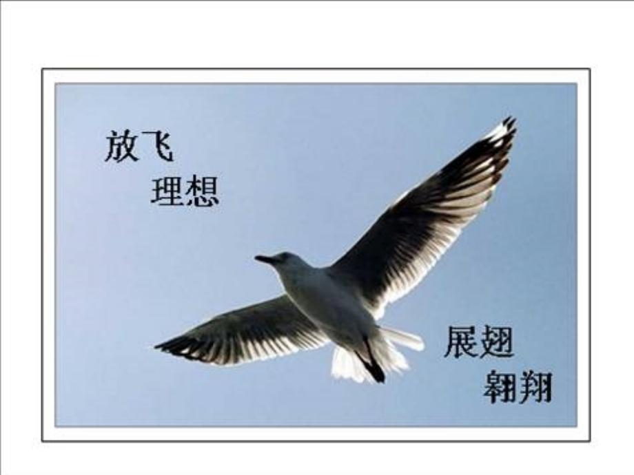 力的课件.ppt_第1页