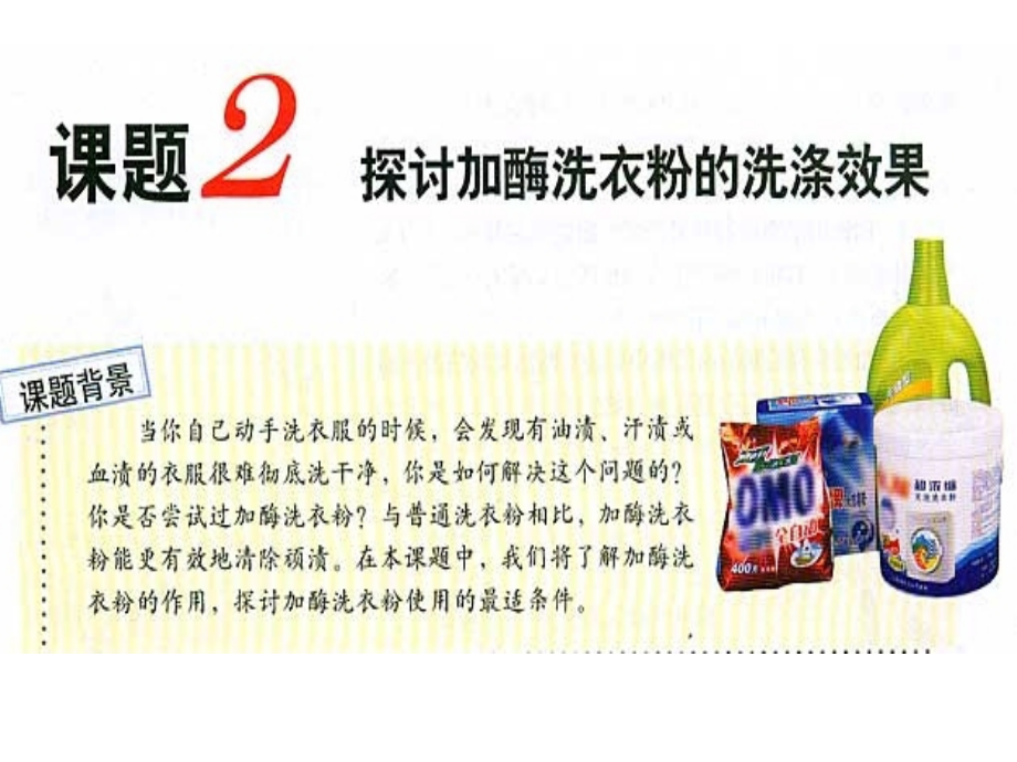 探究加酶洗衣粉的洗涤效果.ppt_第1页