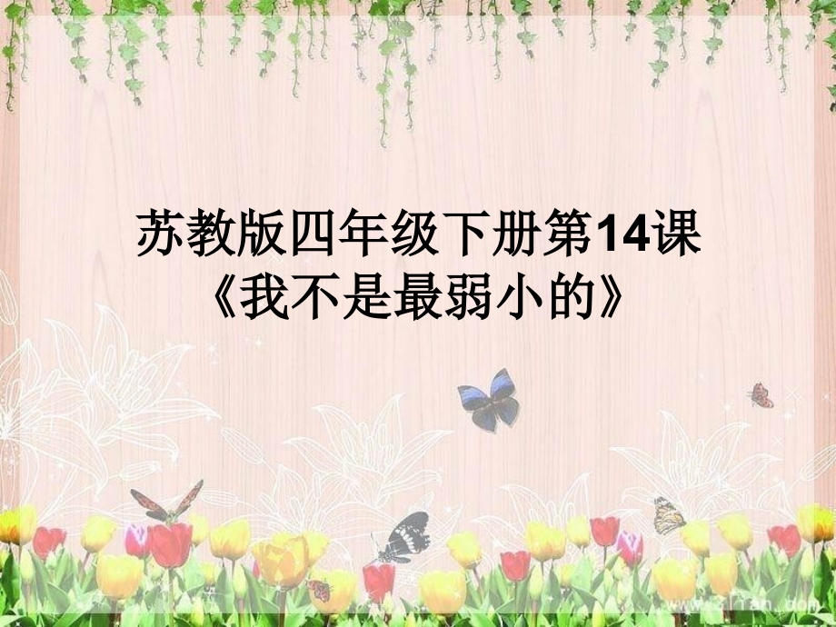 我不是最弱小的说课课件.ppt_第1页