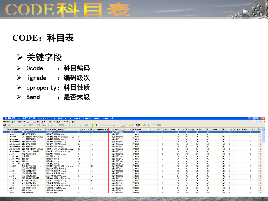 用友通数据库维护-CODE表.ppt_第2页