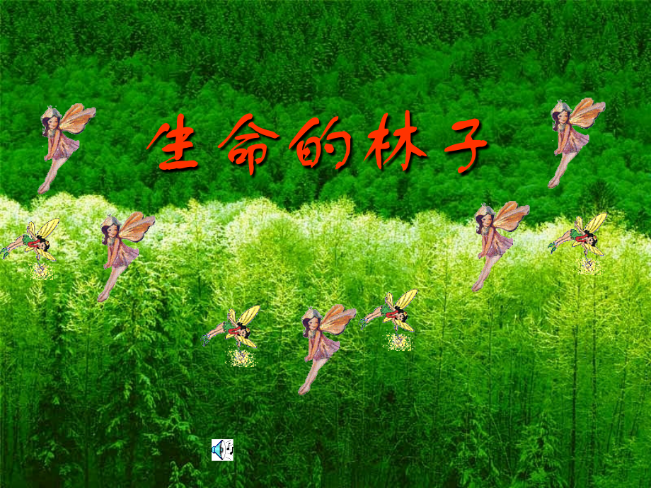 生命的林子..ppt_第1页