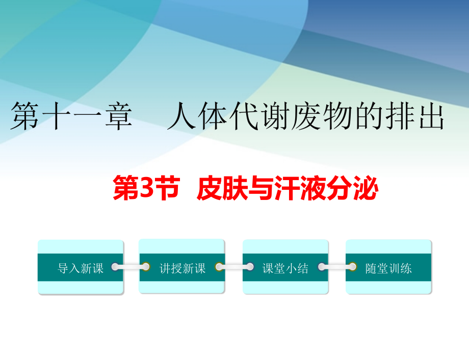 北师大版初一生物下册《皮肤与汗液分泌》课件.ppt_第1页