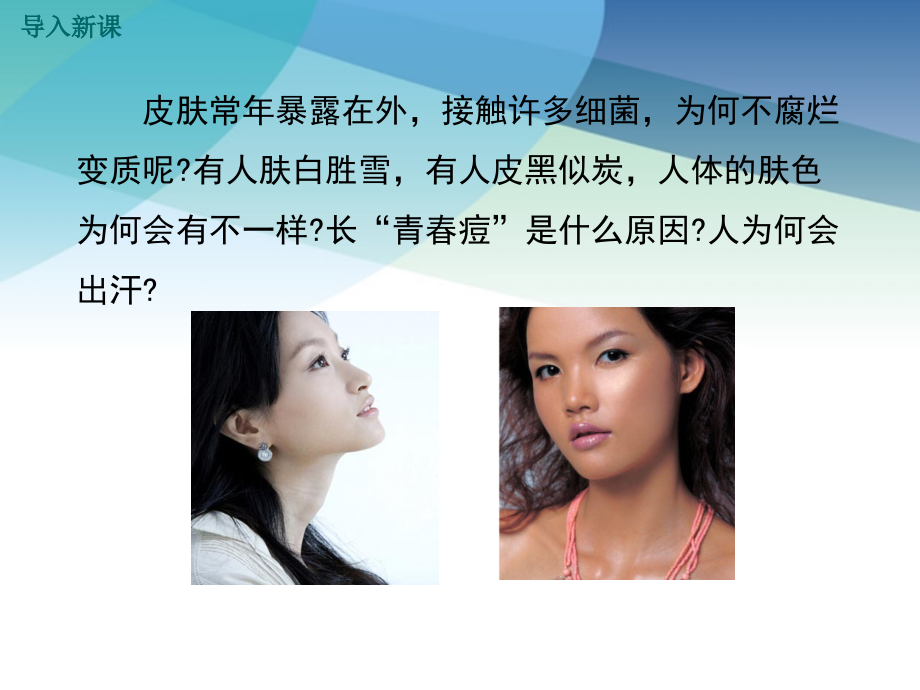 北师大版初一生物下册《皮肤与汗液分泌》课件.ppt_第2页