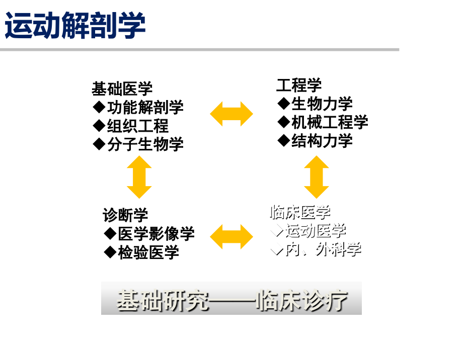 人体肩关节膝关节运动解剖学基础.ppt_第2页