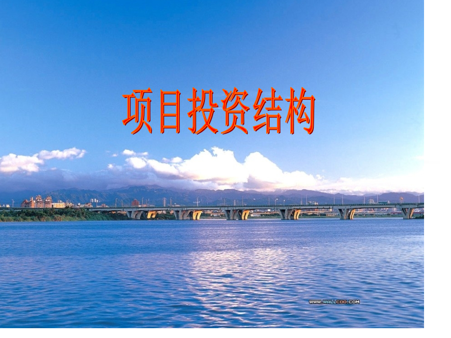 项目投资结构.pptx_第1页