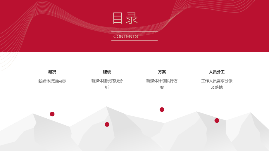 整形美容医院新媒体执行方案.pptx_第2页