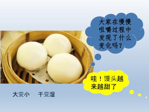 实验馒头在口腔中的变化实验.ppt