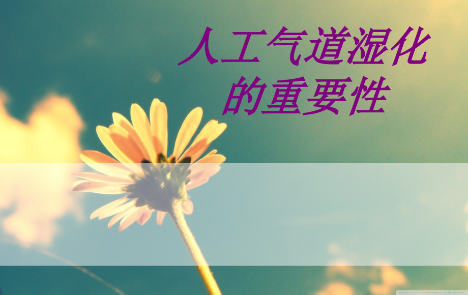 医学人工气道湿化的重要性专题.ppt_第1页