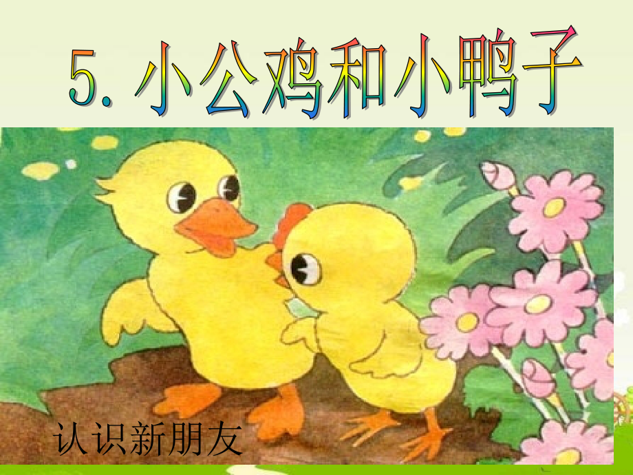 部编版一年级《小公鸡和小鸭子》.pptx_第2页