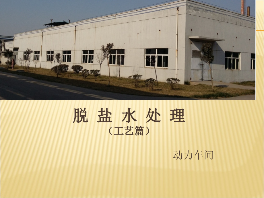 脱盐水处置工艺.pptx_第1页