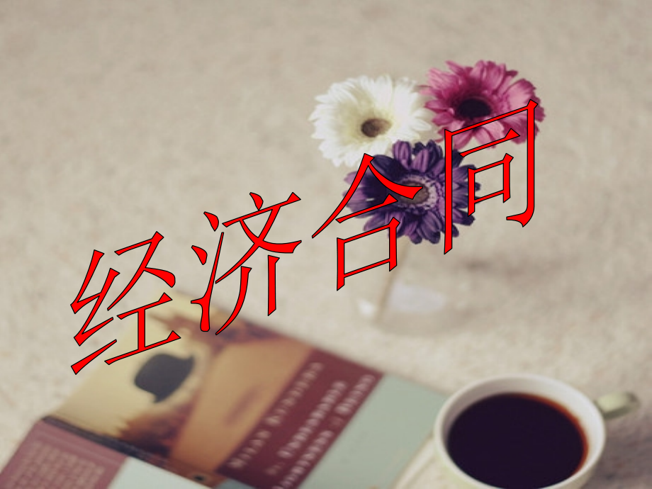 经济合同详细.pptx_第1页