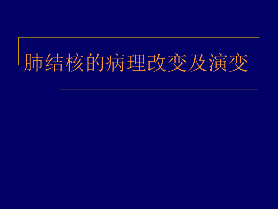 肺结核TB的影像学表现优质.ppt_第2页