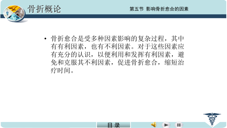 外科学影响骨折愈合的因素.ppt_第2页