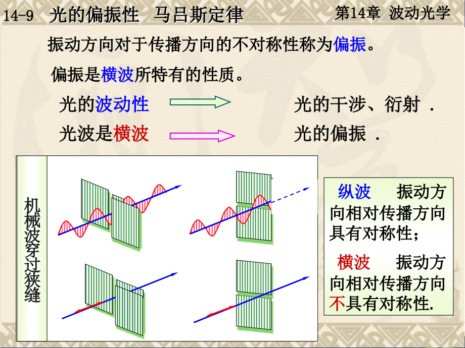 大学物理-14-9-马吕斯定律.ppt_第2页