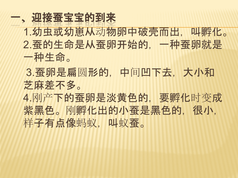 三年级科学下册第二单元复习.pptx_第2页