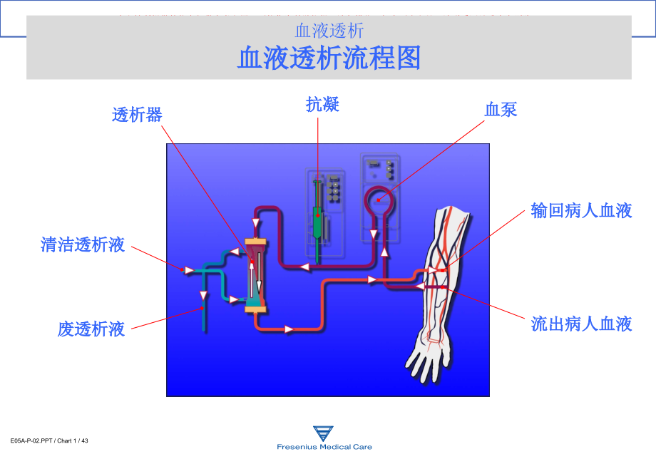 费森尤斯透析器知识培训.ppt_第1页