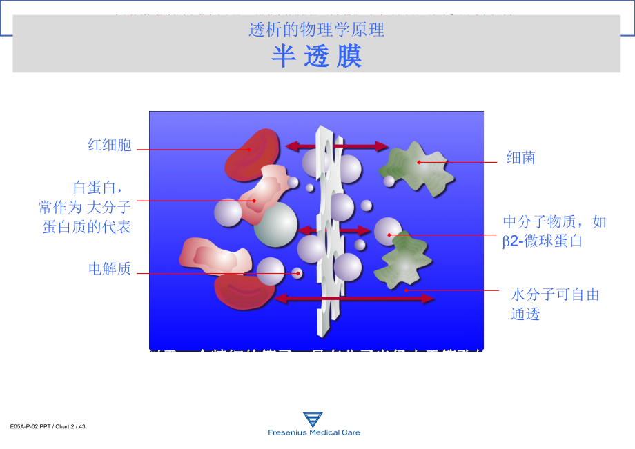 费森尤斯透析器知识培训.ppt_第2页