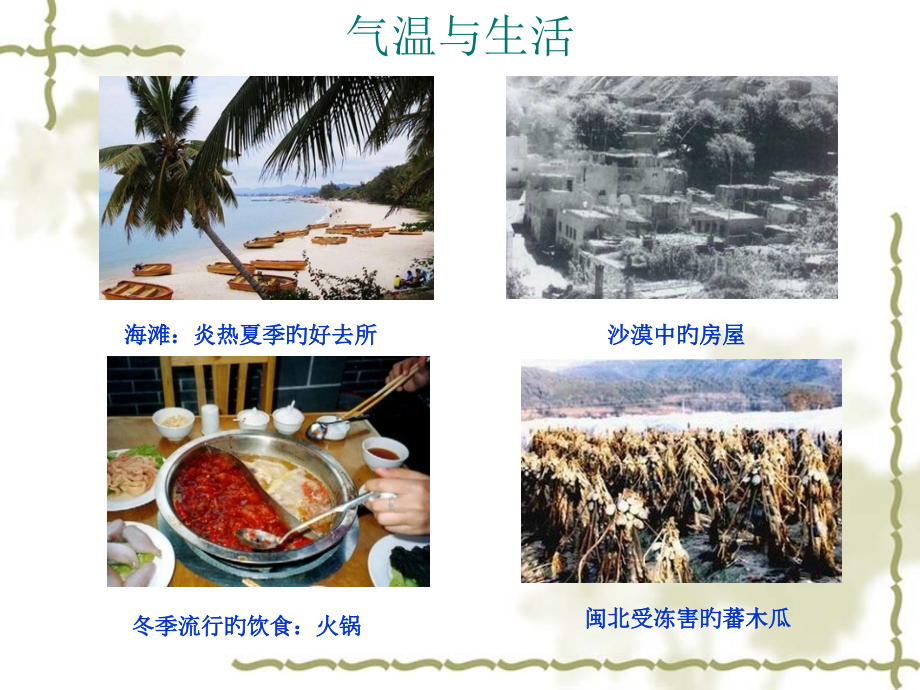 温度和园林植物.pptx_第2页