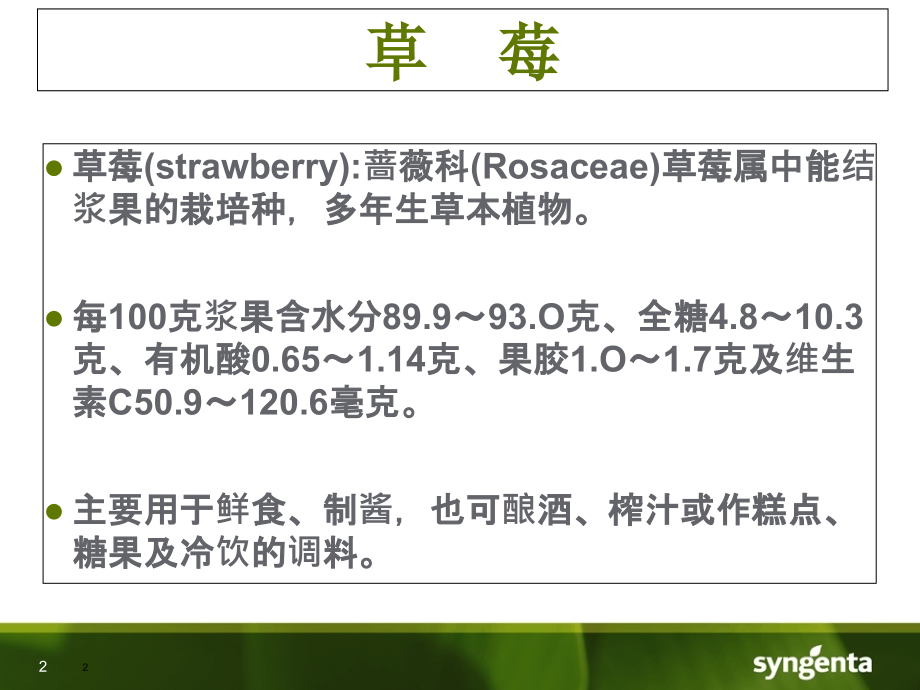 草莓用药方案.ppt_第2页