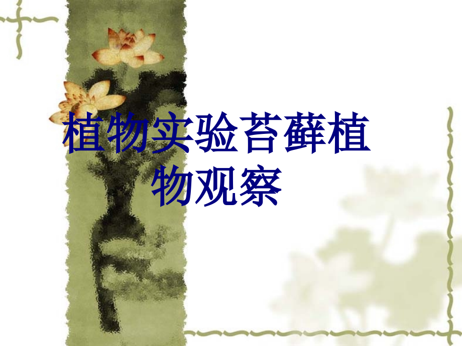 植物实验苔藓植物观察.ppt_第1页