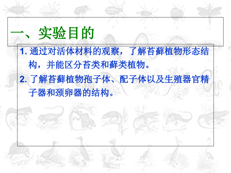 植物实验苔藓植物观察.ppt_第2页
